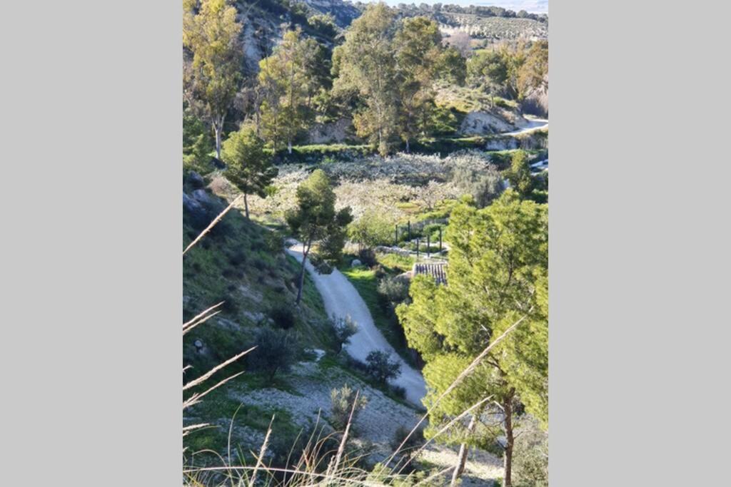 Casa Pinatar Daire San Pedro del Pinatar Dış mekan fotoğraf
