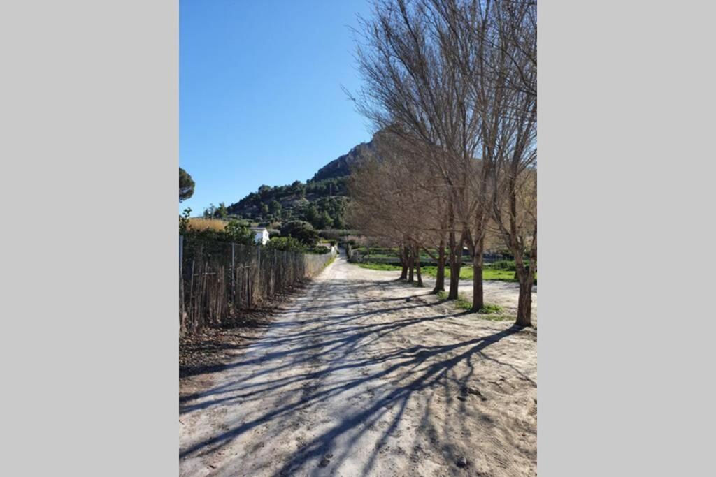 Casa Pinatar Daire San Pedro del Pinatar Dış mekan fotoğraf